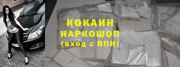 прущий лед Богданович