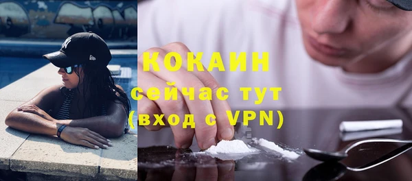 Альфа ПВП Богородск