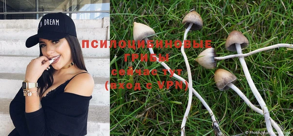 прущий лед Богданович