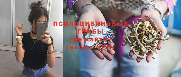 прущий лед Богданович